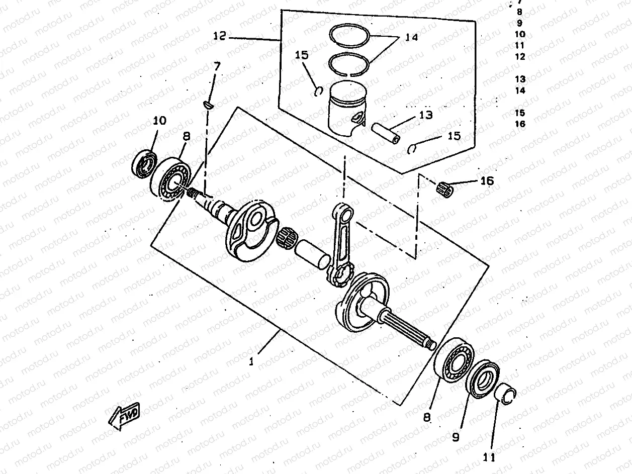 VILEBREQUIN & PISTON