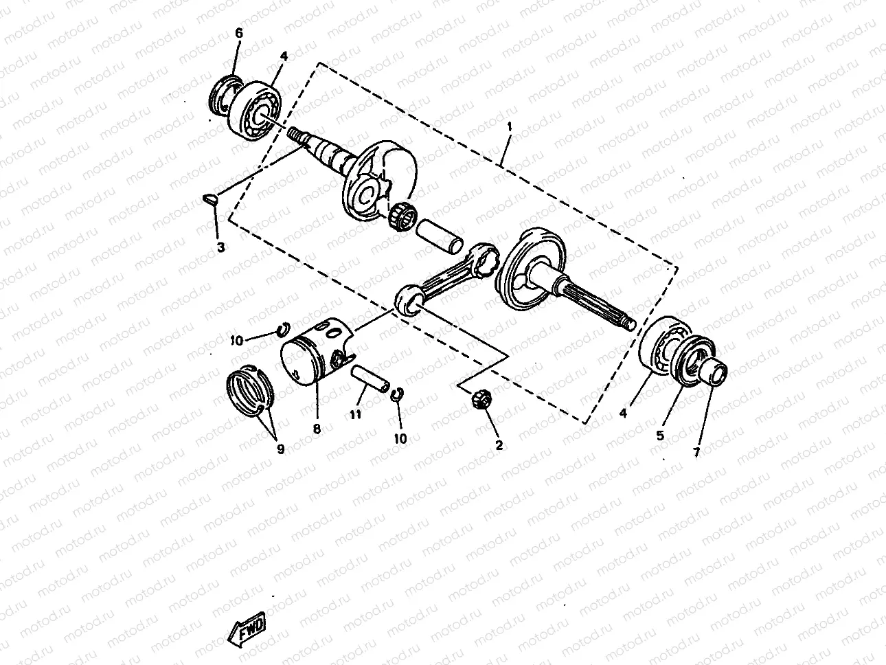 VILEBREQUIN & PISTON