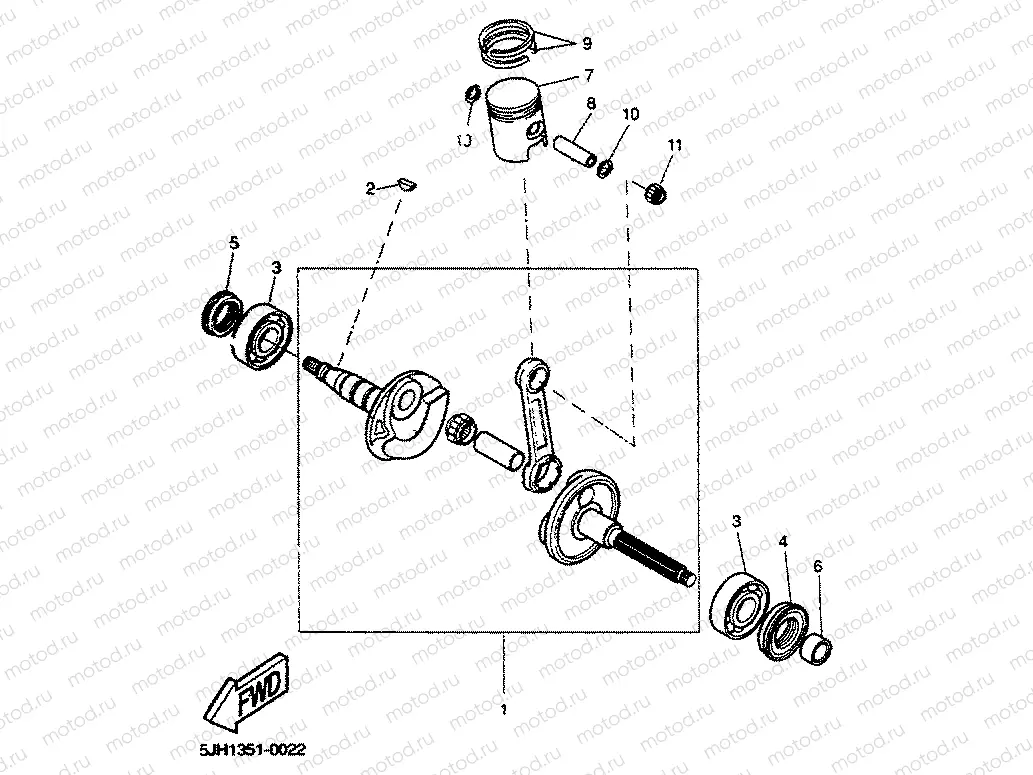 VILEBREQUIN & PISTON