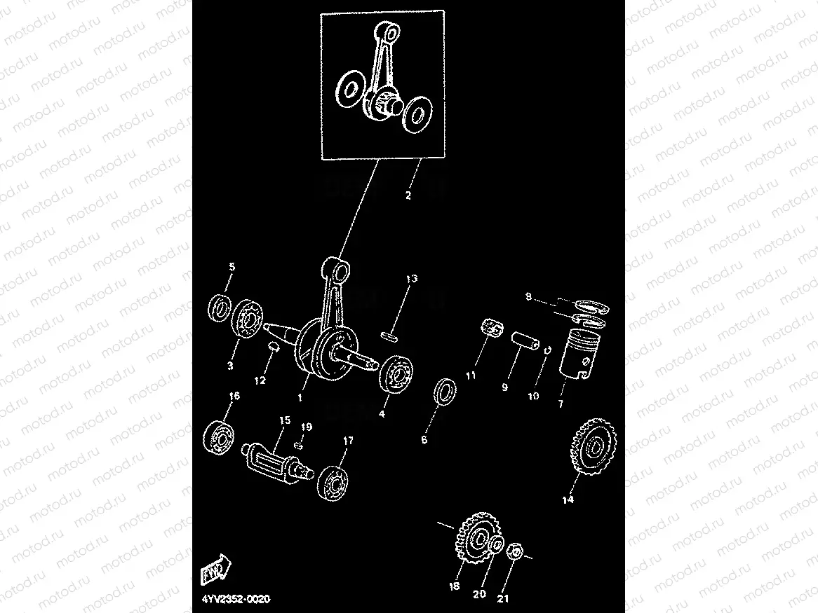 VILEBREQUIN & PISTON