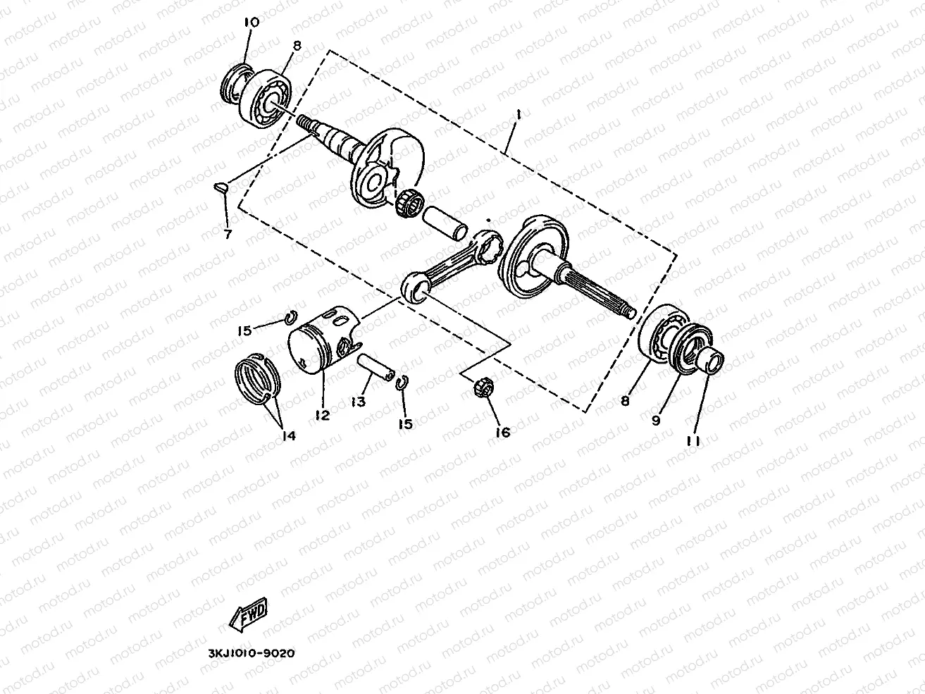 VILEBREQUIN & PISTON