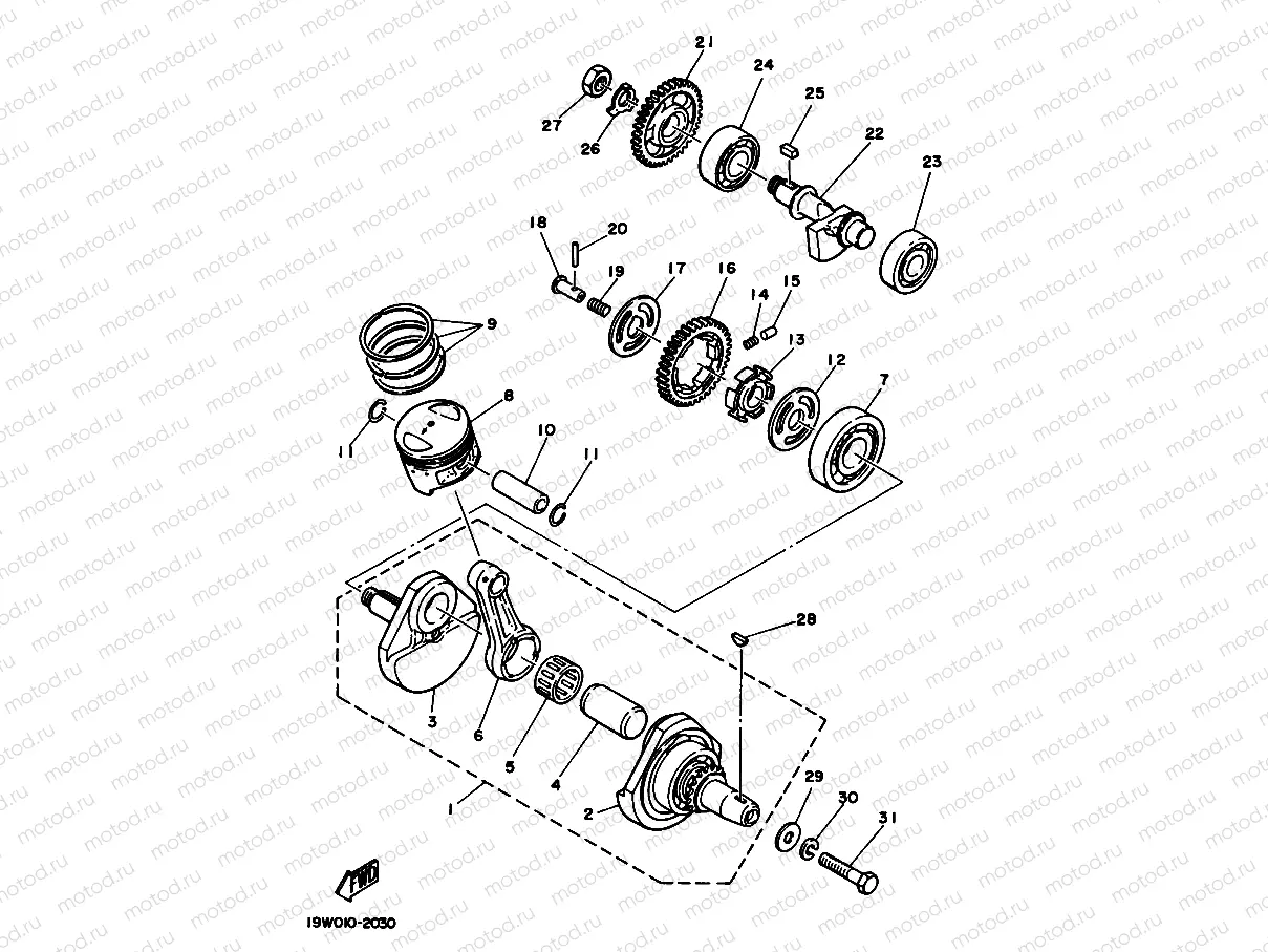 VILEBREQUIN & PISTON