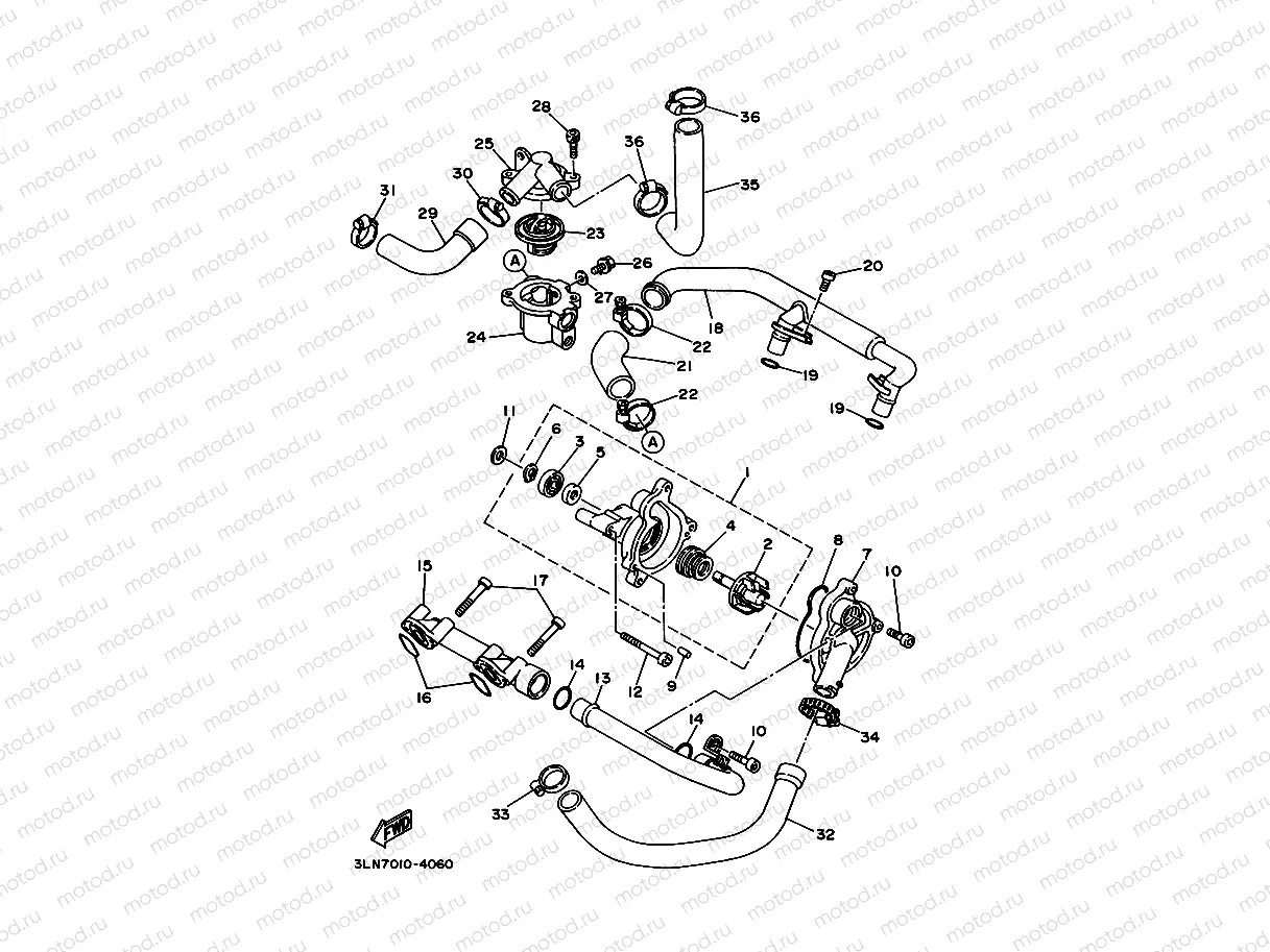 Water pump