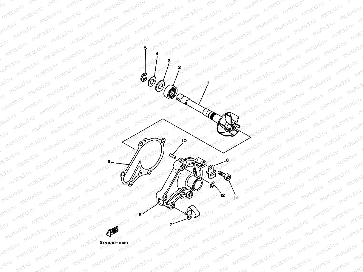 Water pump