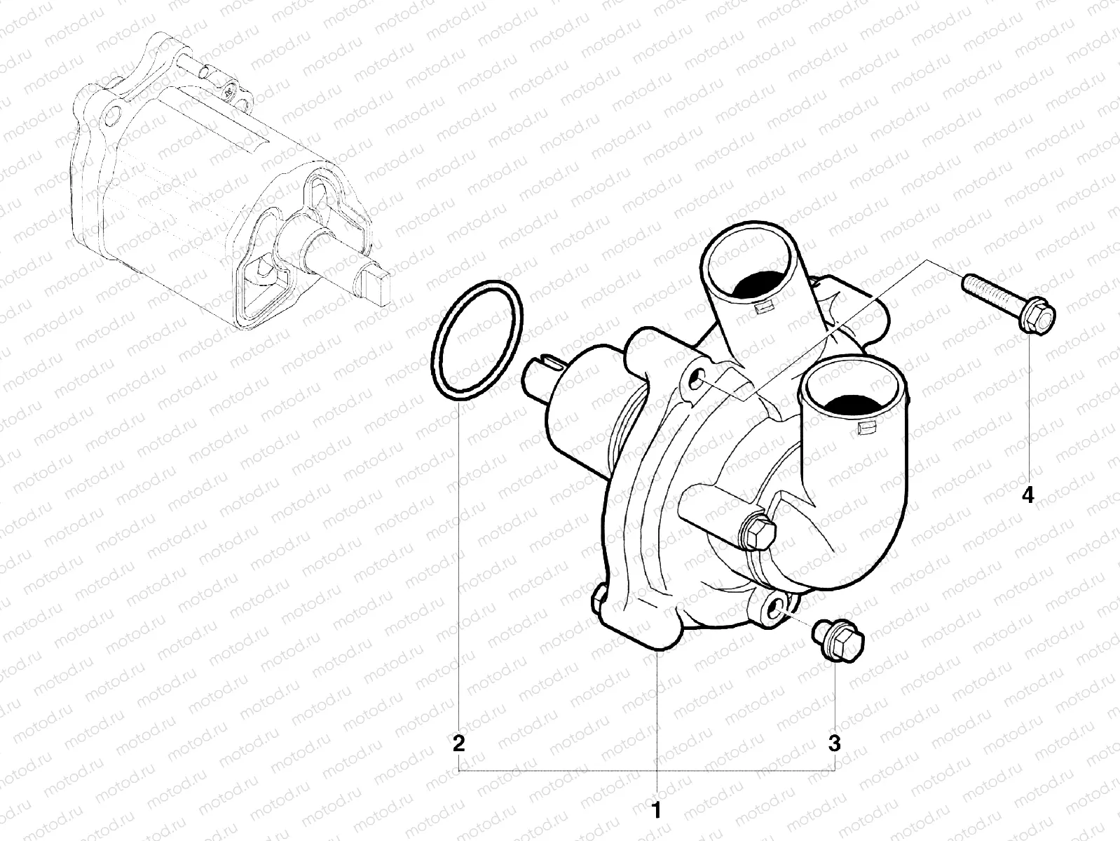 Water Pump