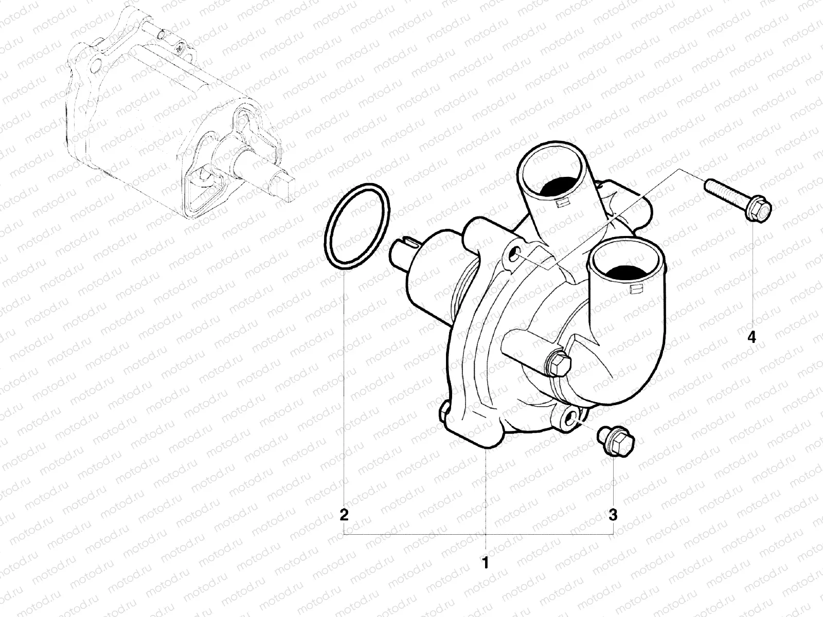 Water Pump