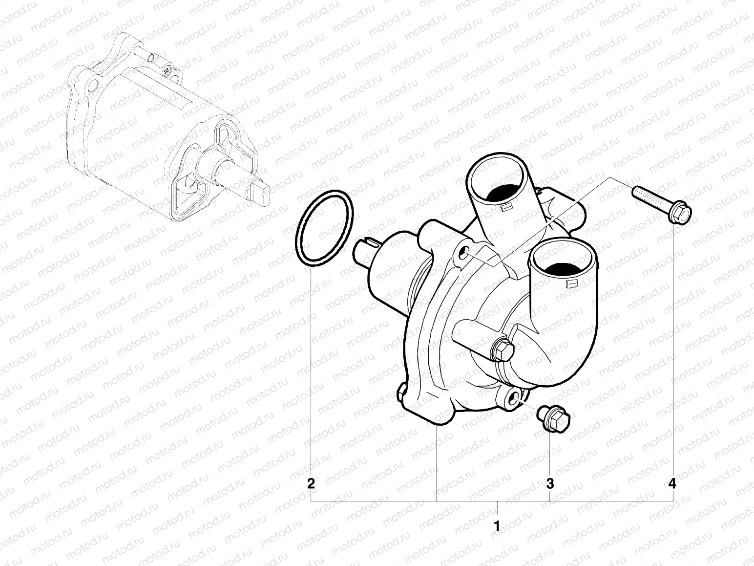 Water Pump