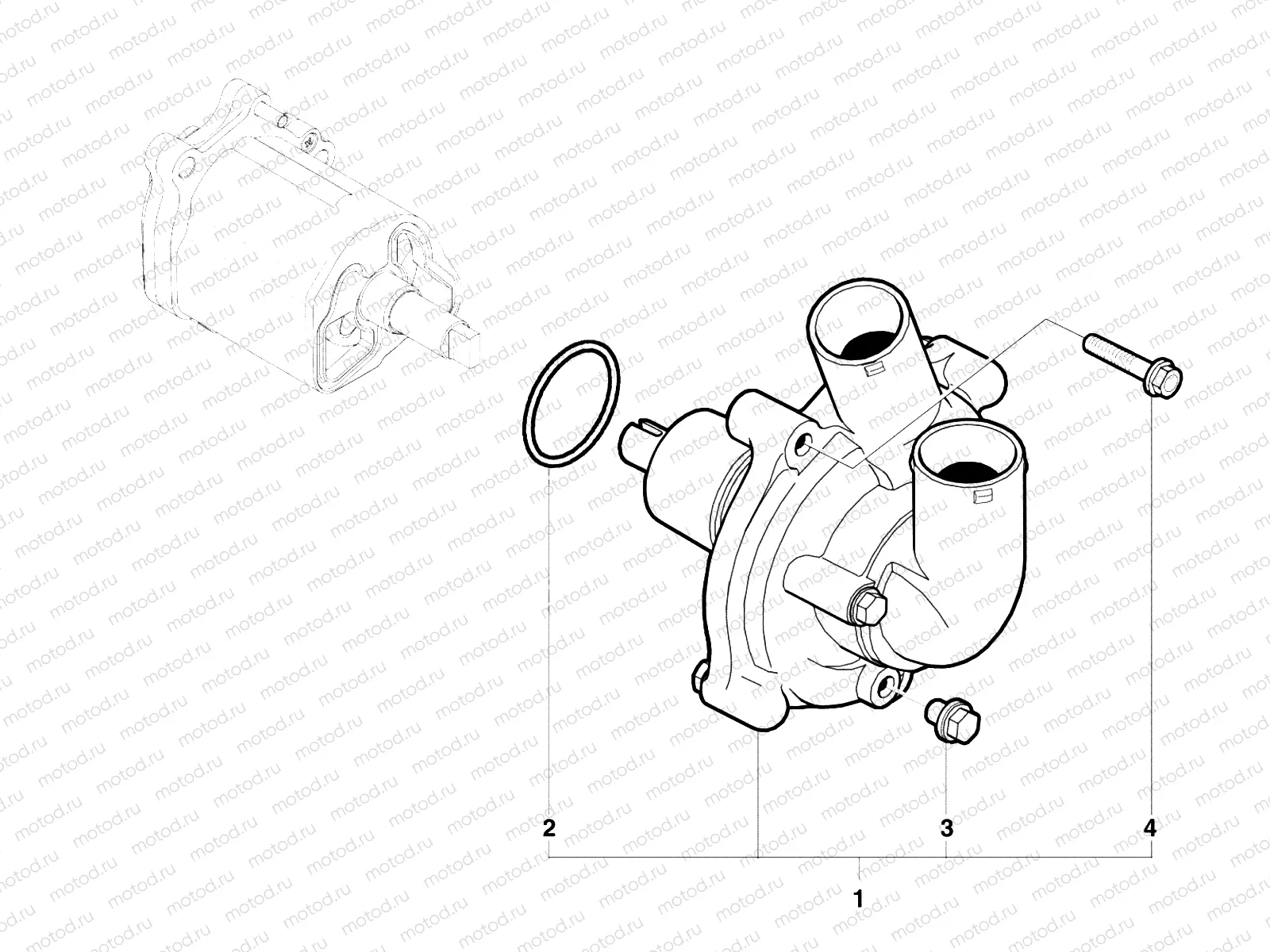 Water Pump