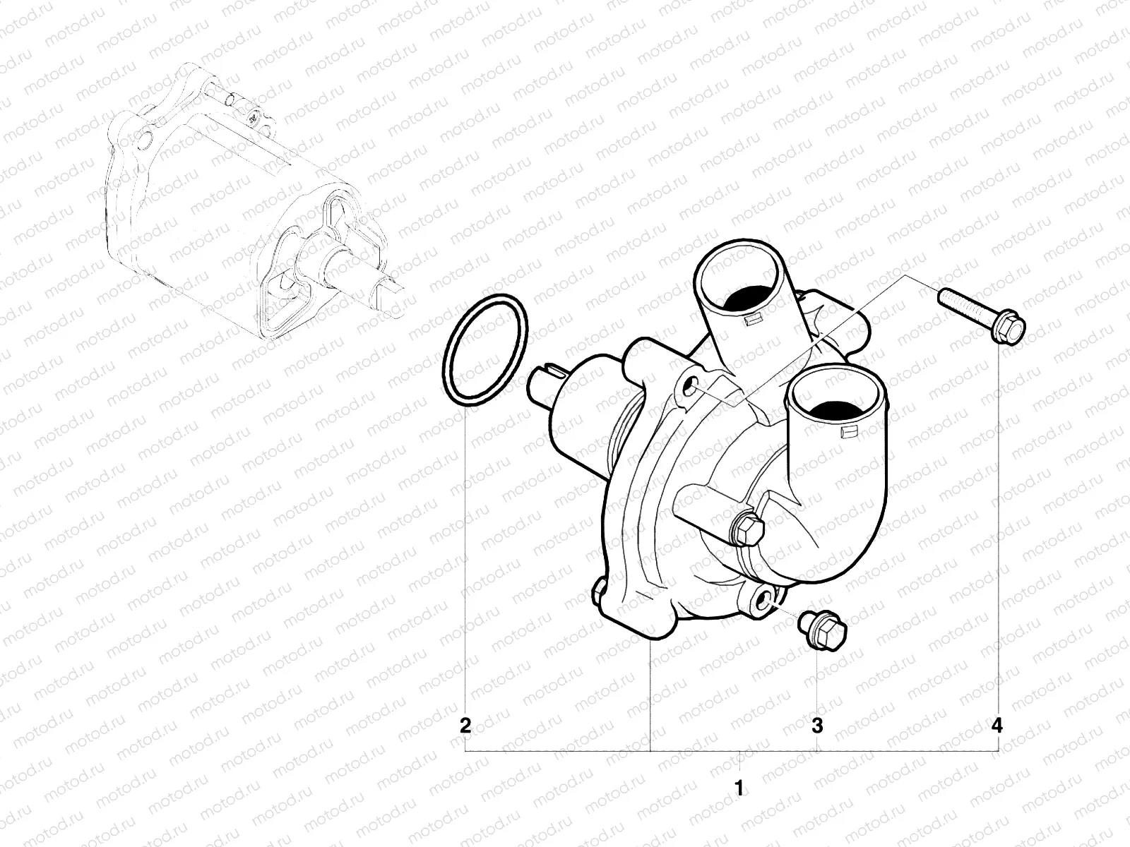 Water Pump