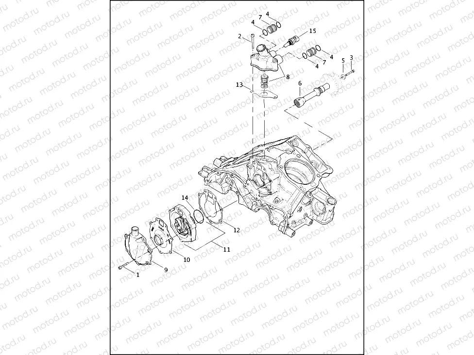 WATER PUMP AND THERMOSTAT