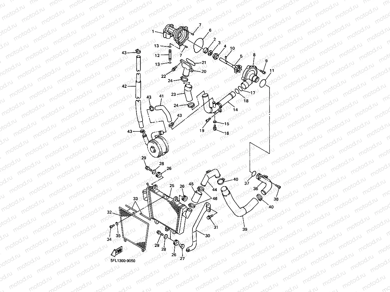 WATER PUMP & RADIATOR