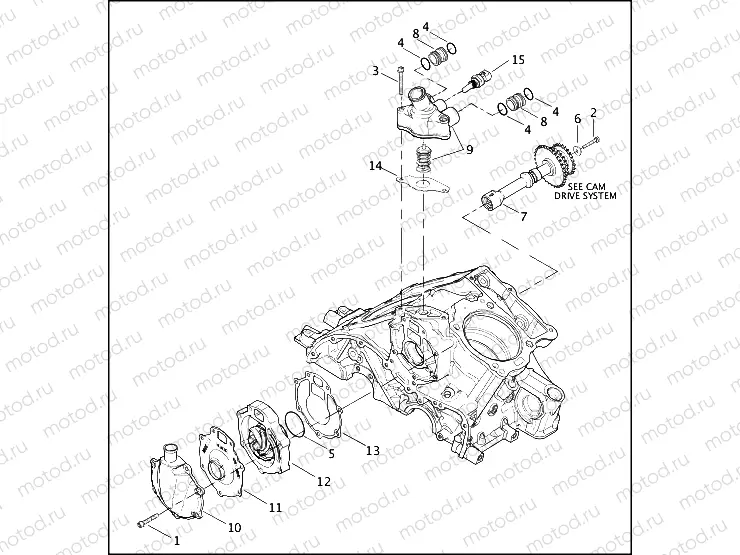 WATER PUMP & THERMOSTAT