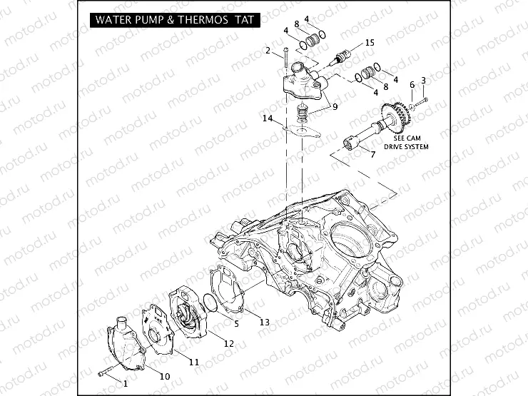 WATER PUMP & THERMOSTAT
