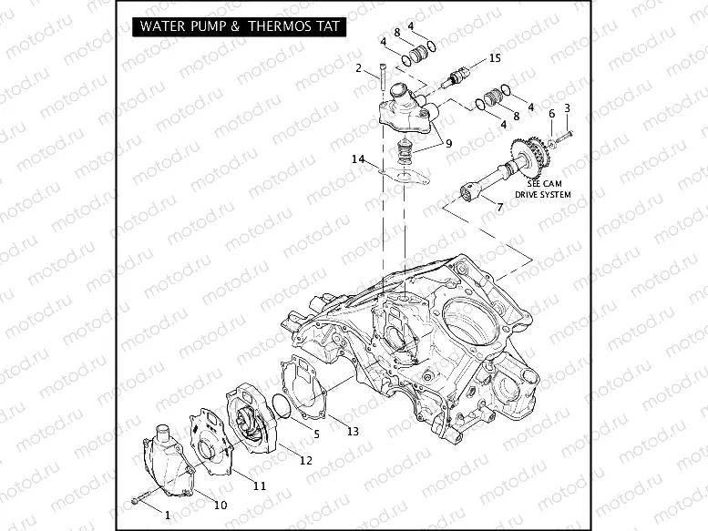 WATER PUMP & THERMOSTAT