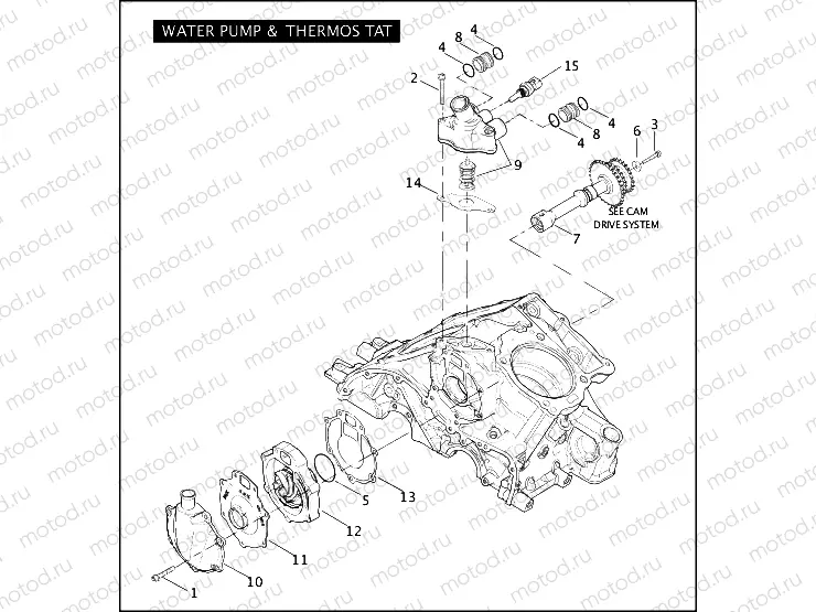 WATER PUMP & THERMOSTAT