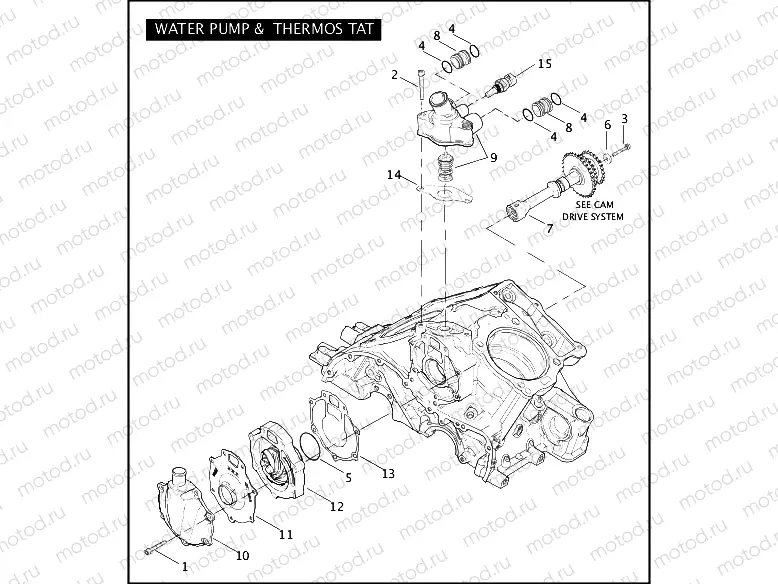 WATER PUMP & THERMOSTAT