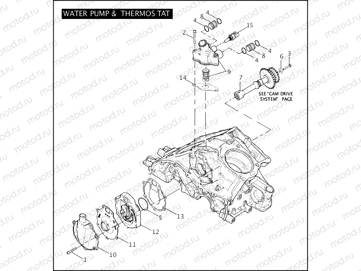 WATER PUMP & THERMOSTAT