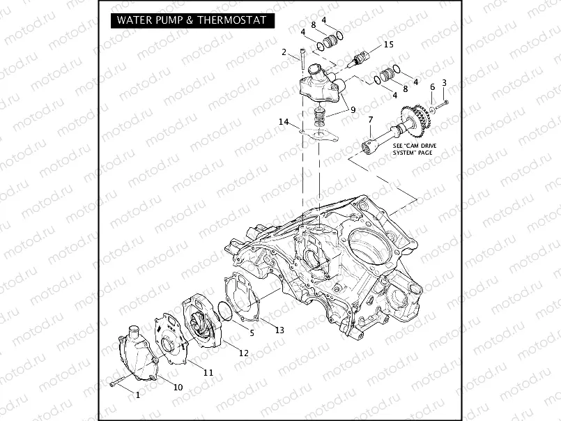 WATER PUMP & THERMOSTAT