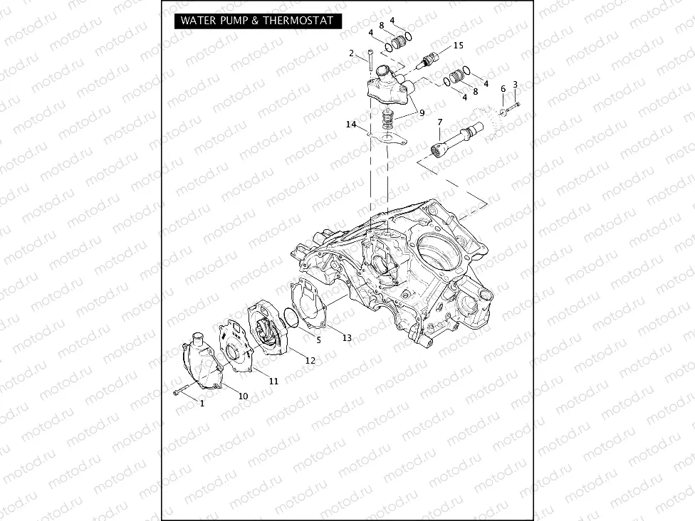 WATER PUMP & THERMOSTAT