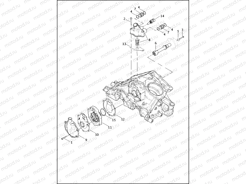 WATER PUMP & THERMOSTAT