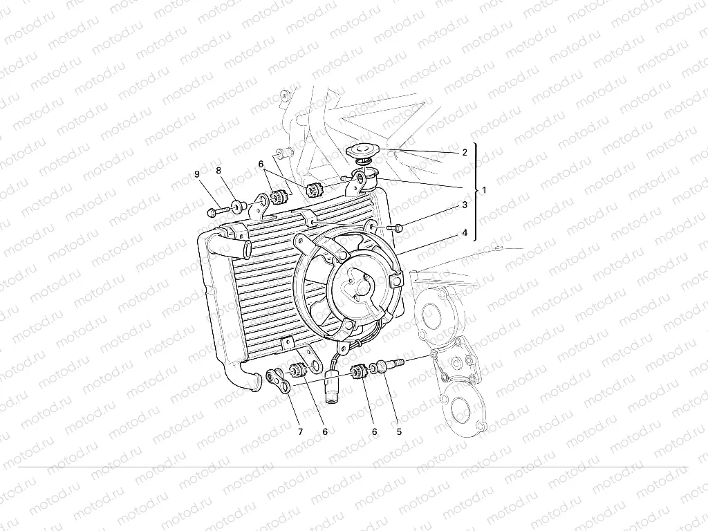 WATER RADIATOR ASSY