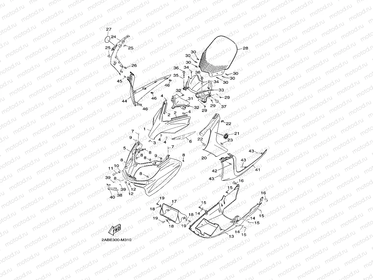 WINDSHIELD