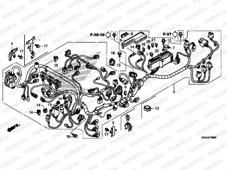 WIRE HARNESS