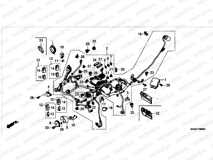 WIRE HARNESS