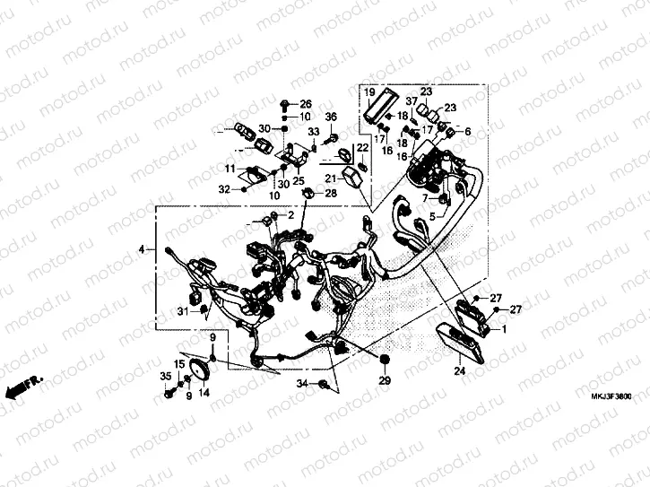 WIRE HARNESS