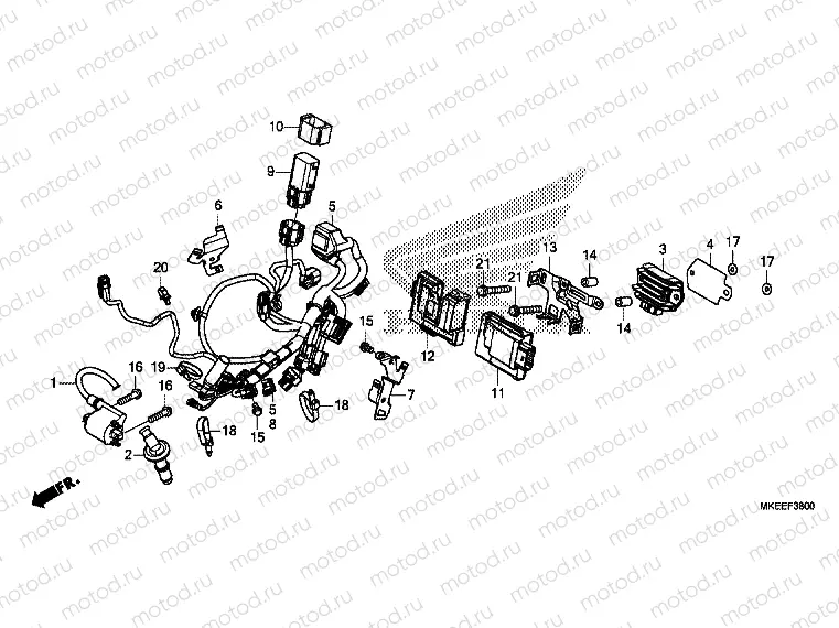 WIRE HARNESS