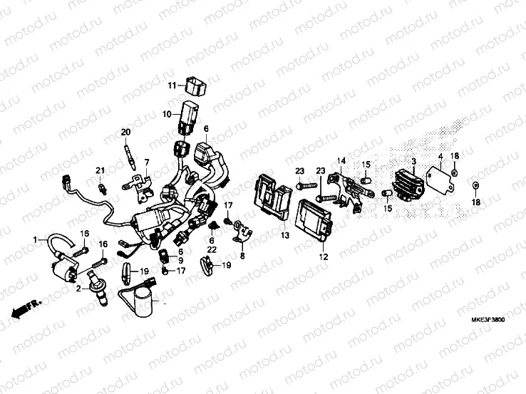 WIRE HARNESS
