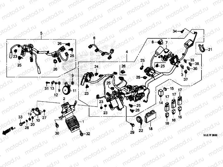 WIRE HARNESS