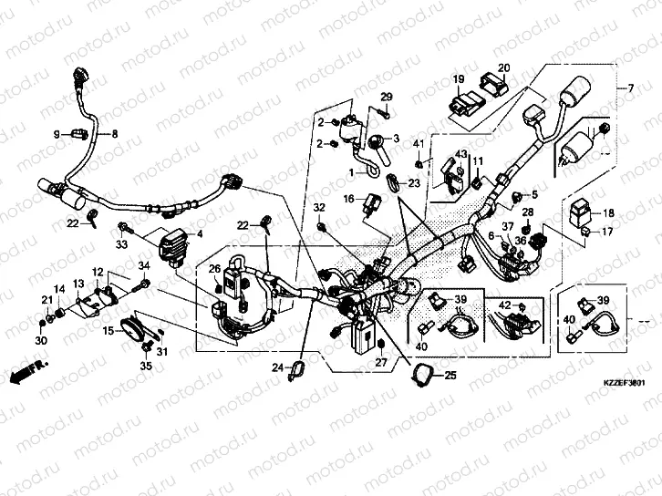 WIRE HARNESS (CRF250RL / RLA)