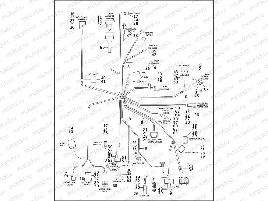 WIRING HARNESS (1 OF 2)