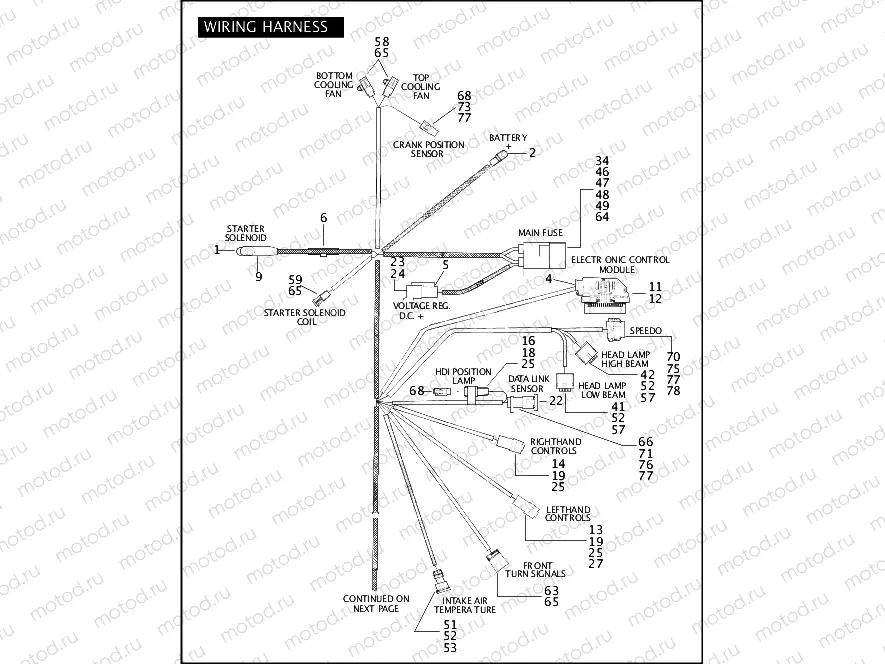 WIRING HARNESS (1 OF 2)