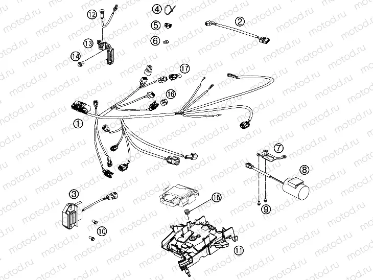 WIRING HARNESS