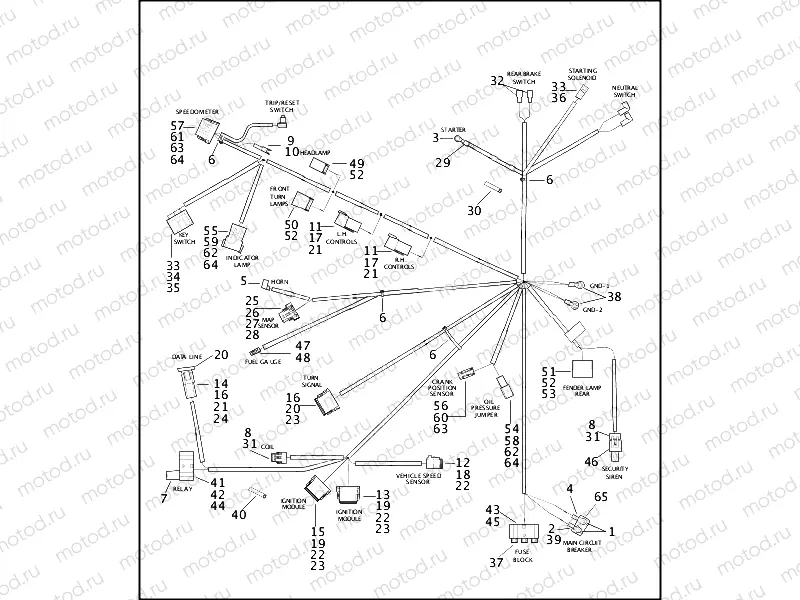 WIRING HARNESS (2 OF 2)