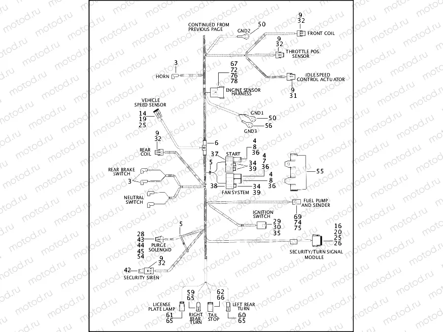 WIRING HARNESS (2 OF 2)