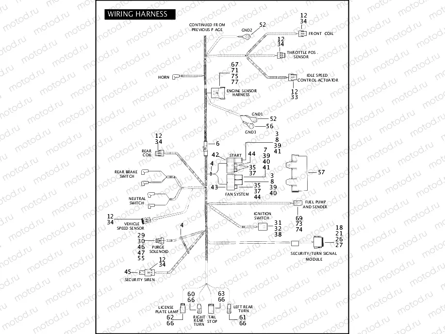 WIRING HARNESS, (2 OF 2)