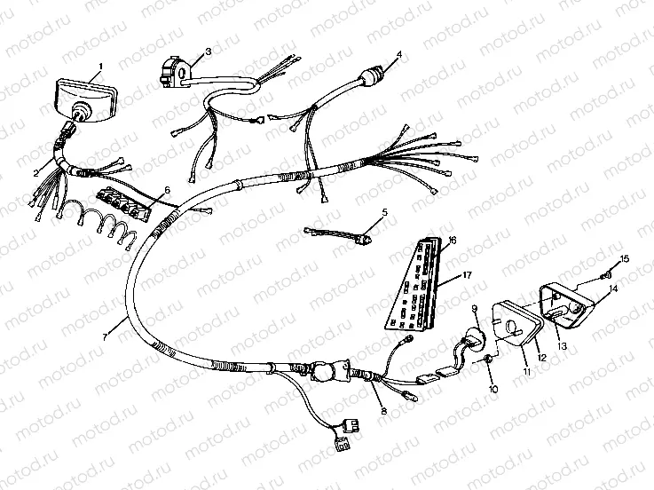 Wiring Harness (4916361636032A) | Wiring Harness (4916361636032A)