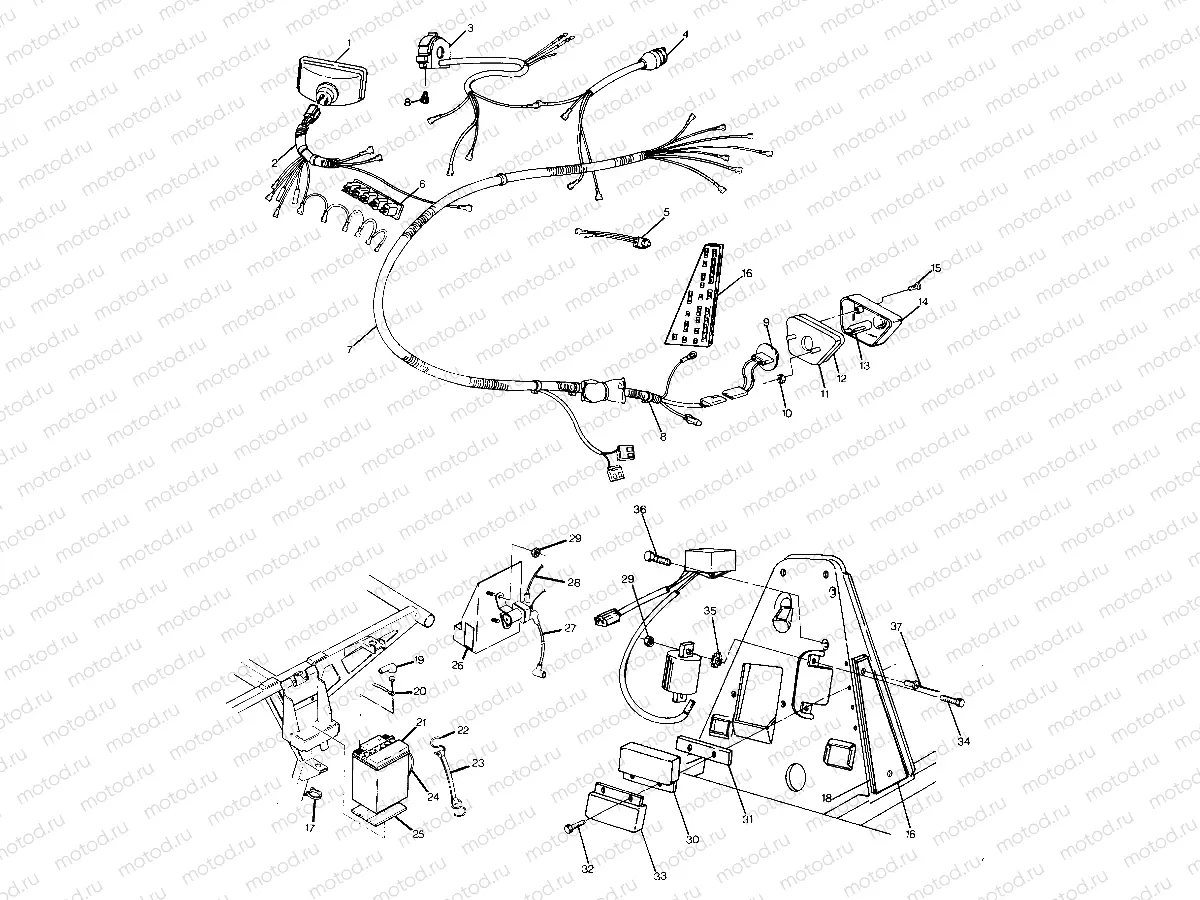 Wiring Harness (4917731773033A) | Wiring Harness (4917731773033A)