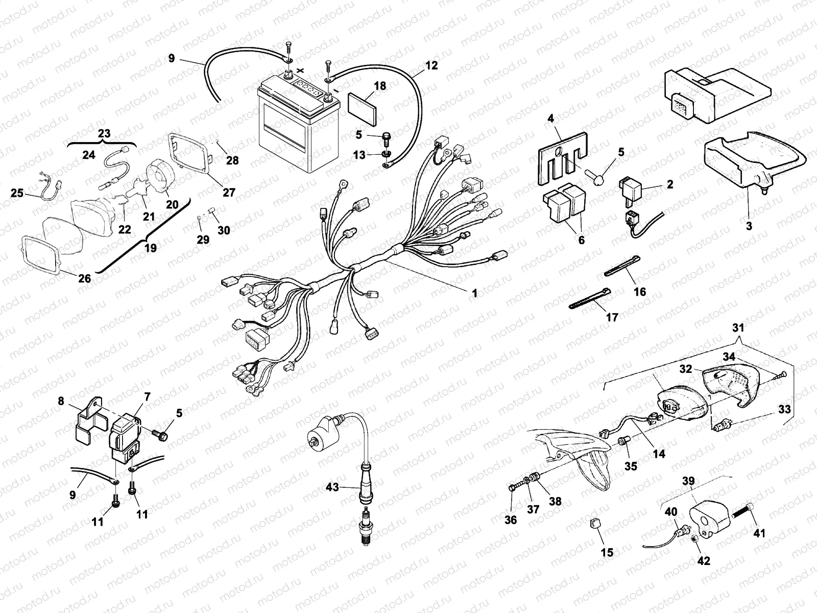 WIRING HARNESS