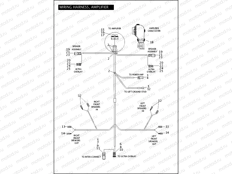 WIRING HARNESS, AMPLIFIER