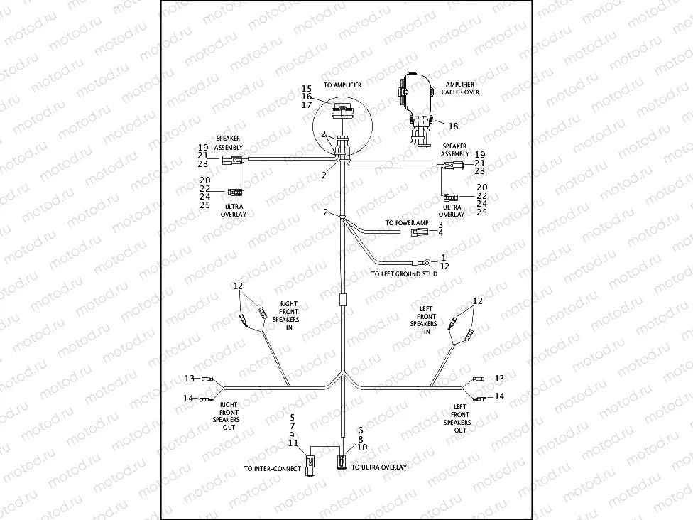 WIRING HARNESS, AMPLIFIER