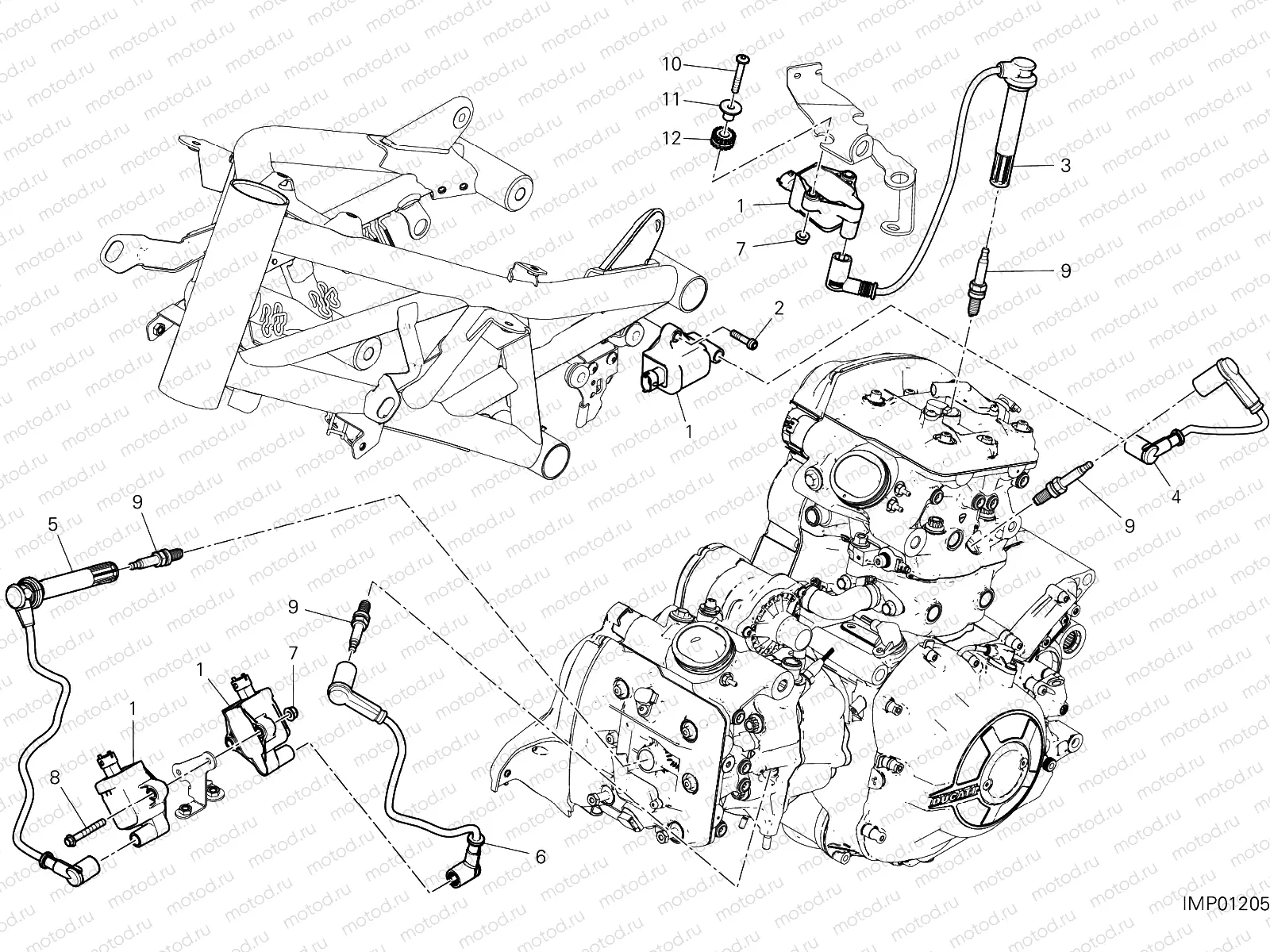 WIRING HARNESS (COIL)