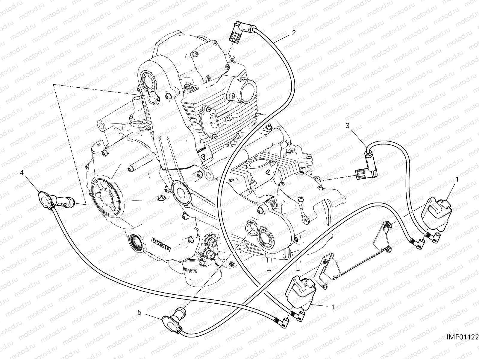 WIRING HARNESS (COIL)