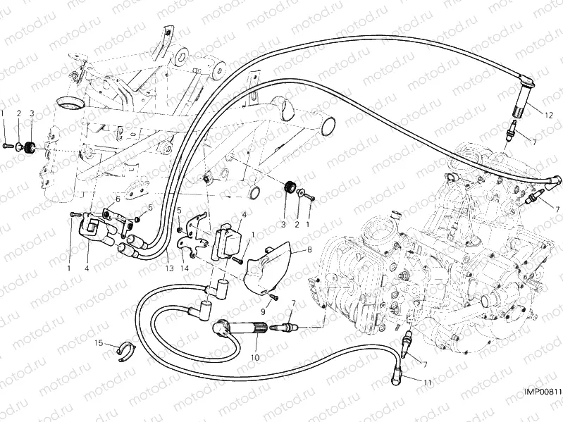 WIRING HARNESS (COIL) » WIRING HARNESS
