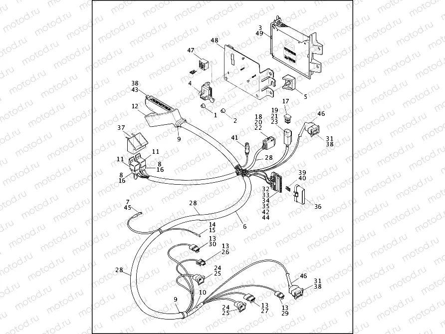 WIRING HARNESS & CONTROL MODULE - FUEL INJECTED
