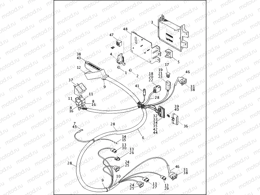 WIRING HARNESS & CONTROL MODULE - FUEL INJECTED MODELS