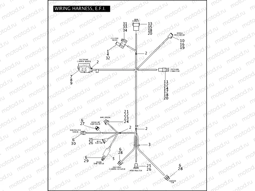 WIRING HARNESS, E.F.I.